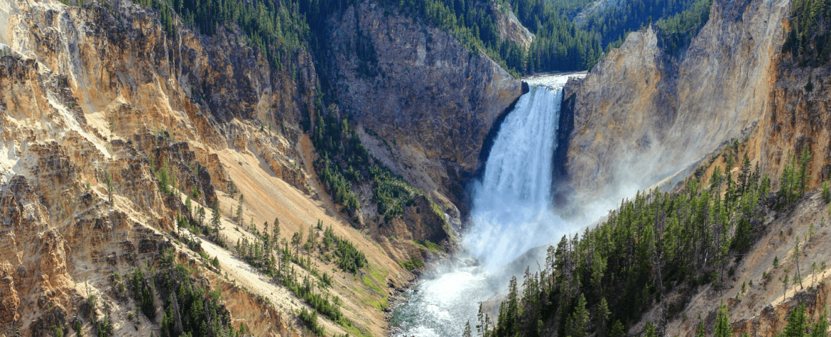 Find the Best Yellowstone Summer Activities | Wilson Hotel