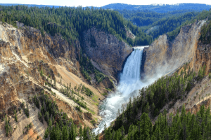 grand canyon of the yellowstone