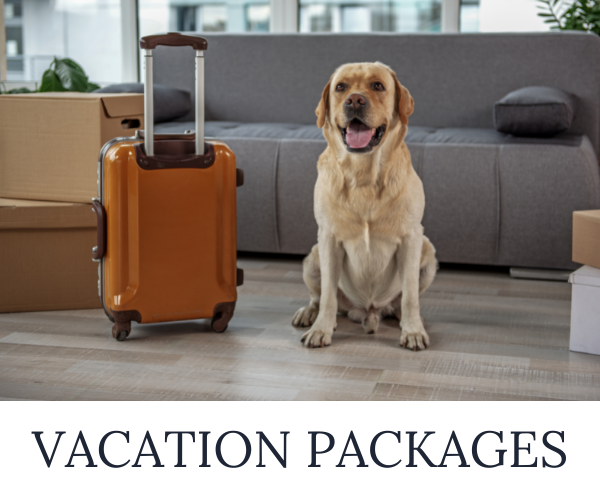 dog vacation package
